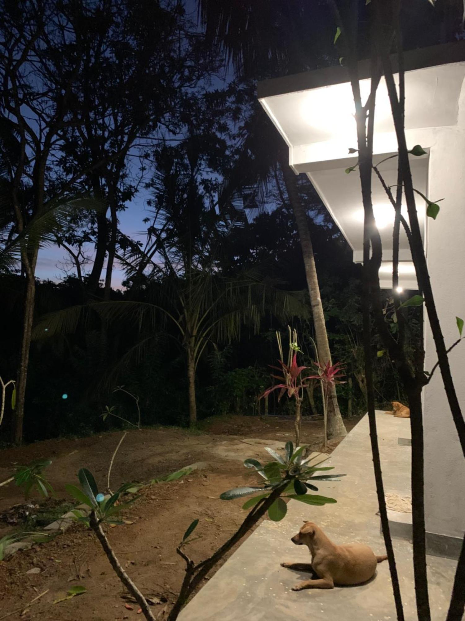 Hidden Well Hiriketiya Hostel Dickwella Exterior photo
