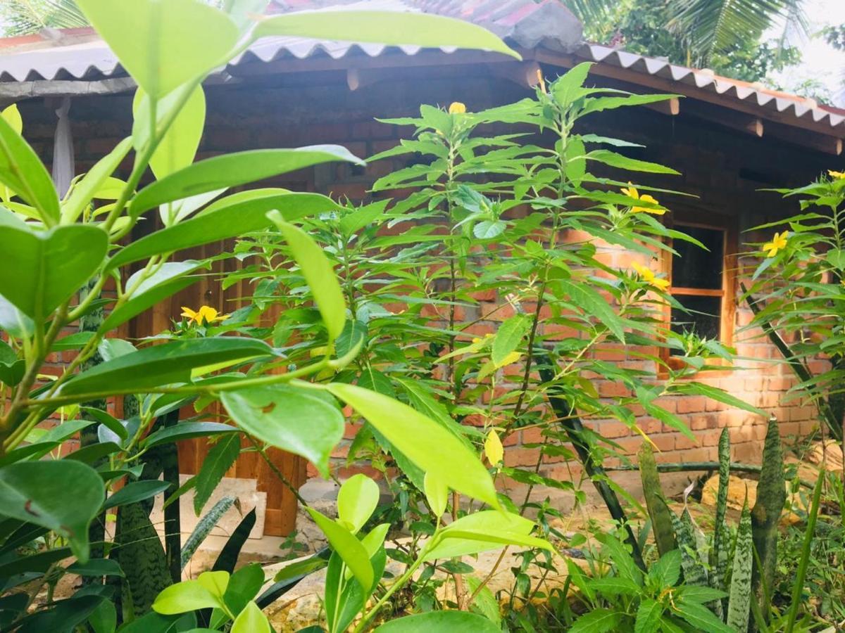 Hidden Well Hiriketiya Hostel Dickwella Exterior photo